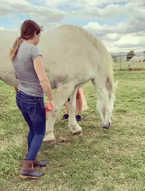 equine therapy